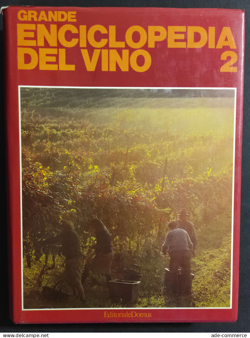 Grande Enciclopedia Del Vino Vol. 2 - I-Z - Ed. Domus - 1981 - Casa E Cucina