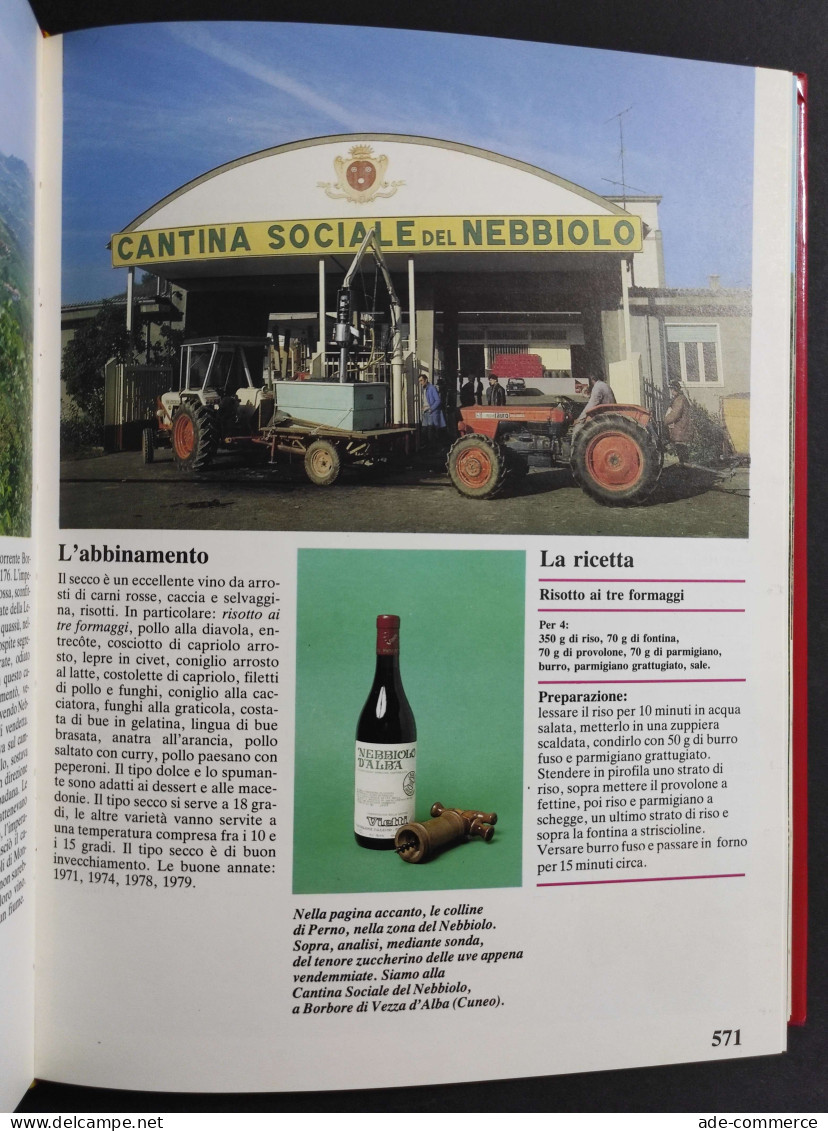 Grande Enciclopedia Del Vino Vol. 2 - I-Z - Ed. Domus - 1981 - House & Kitchen