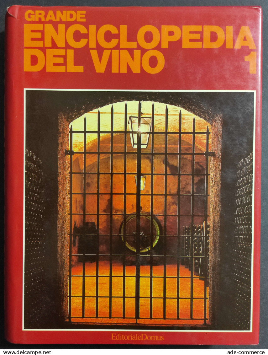 Grande Enciclopedia Del Vino Vol. 1 - A-G - Ed. Domus - 1981 - Casa Y Cocina