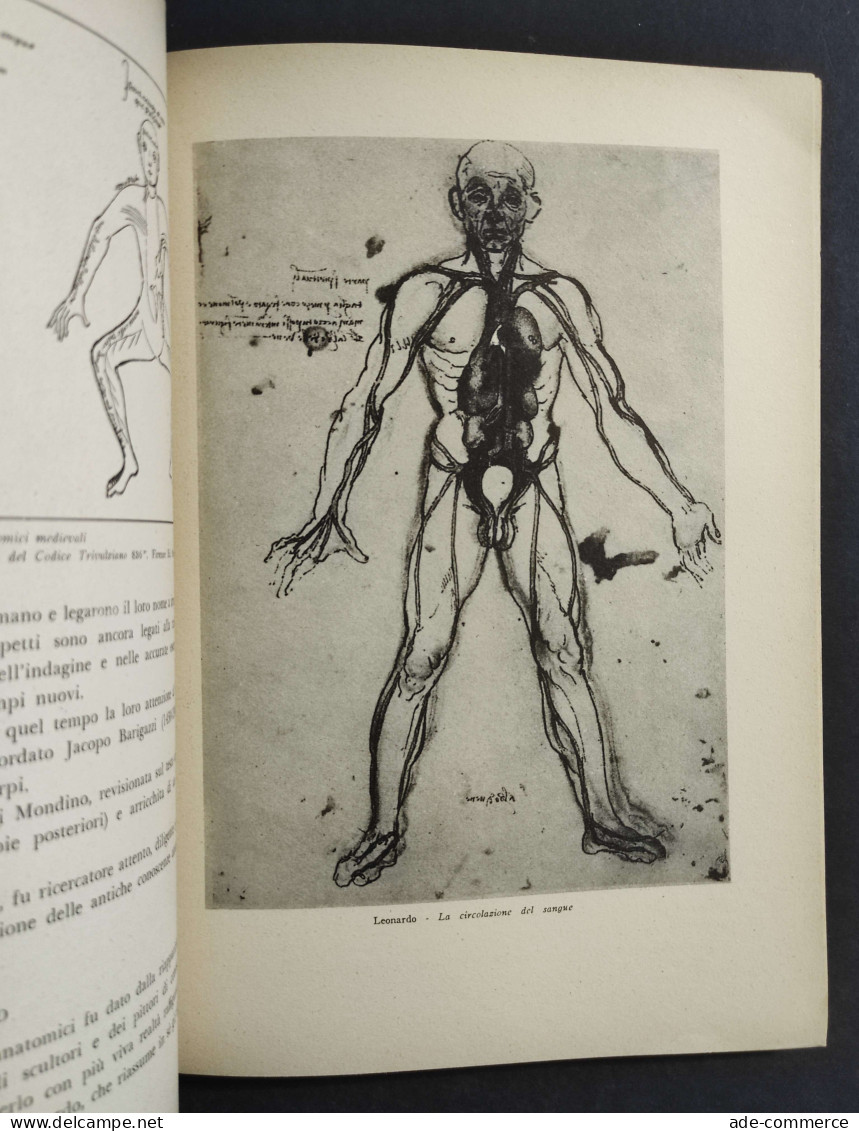 Il Cuore Nella Storia Della Medicina - N. Latronico - Ed. Recordati - - Geneeskunde, Psychologie