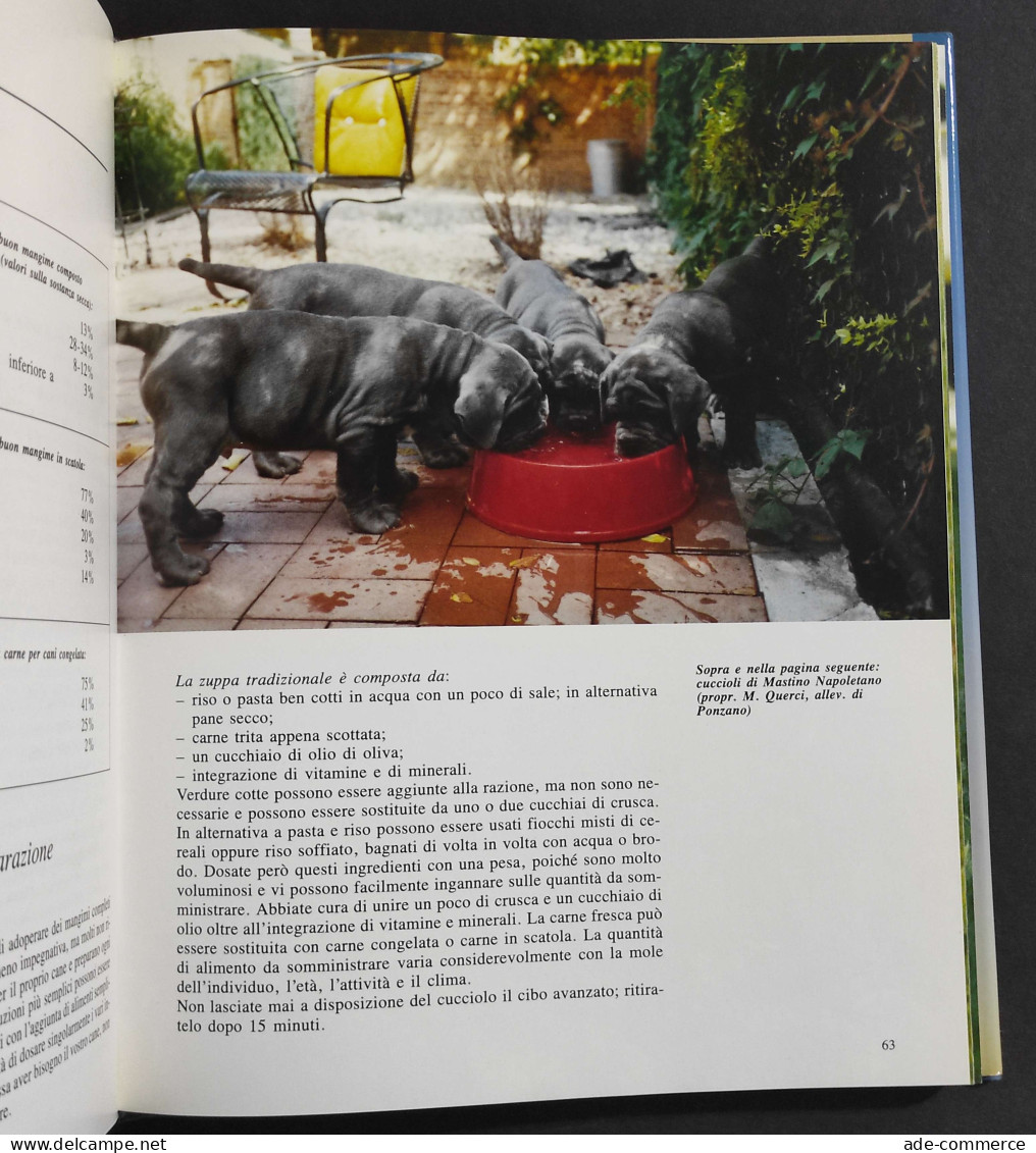 Cuccioli Di Razza - G. F. Cavalchini - Ed. De Vecchi - 1989 - Gezelschapsdieren