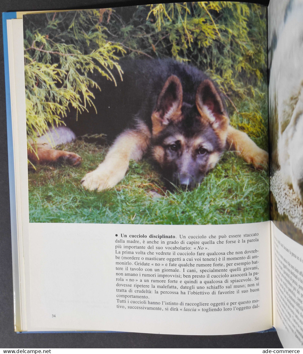 Cuccioli Di Razza - G. F. Cavalchini - Ed. De Vecchi - 1989 - Tiere