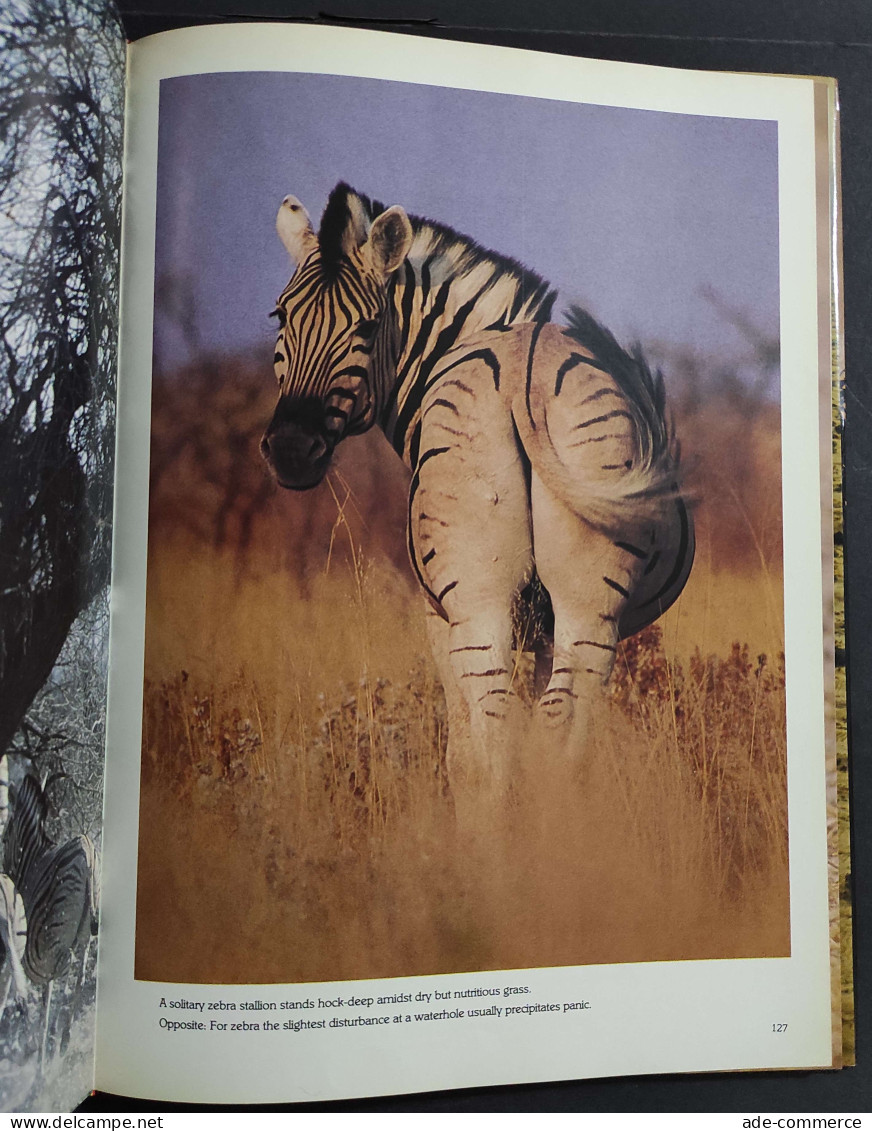 Namibia - The Untamed Land - G. Cubitt - Fotografie