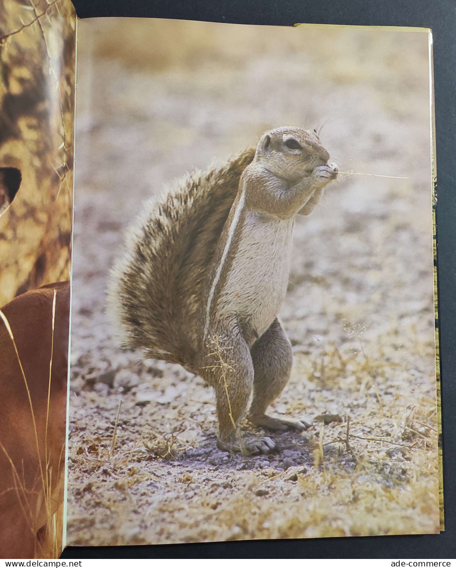 Namibia - The Untamed Land - G. Cubitt - Fotografia