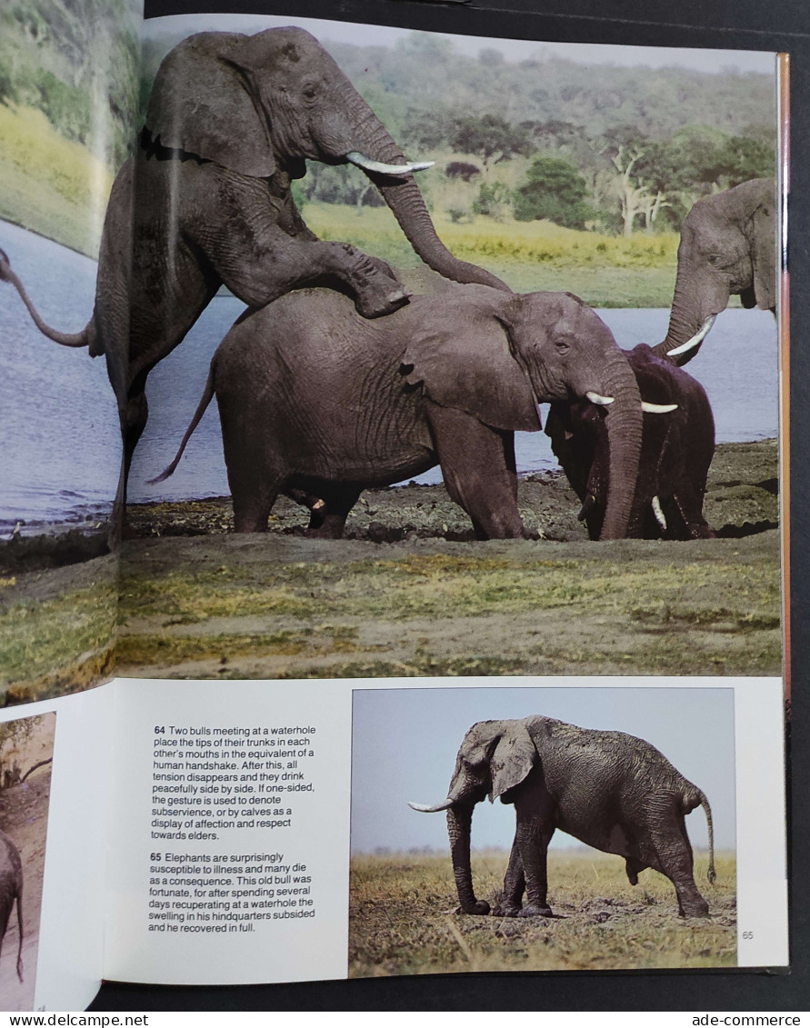 The Lions And Elephants Of The Chobe - Botswana's Untamed Wilderness - 1986 - Tiere