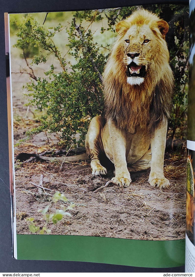 The Lions And Elephants Of The Chobe - Botswana's Untamed Wilderness - 1986 - Gezelschapsdieren