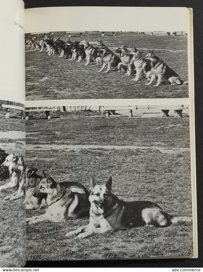 Il Cane Lupo - Come Si Alleva - Come Si Addestra - E. Guelfi - Ed. De Vecchi - 1972 - Animales De Compañía