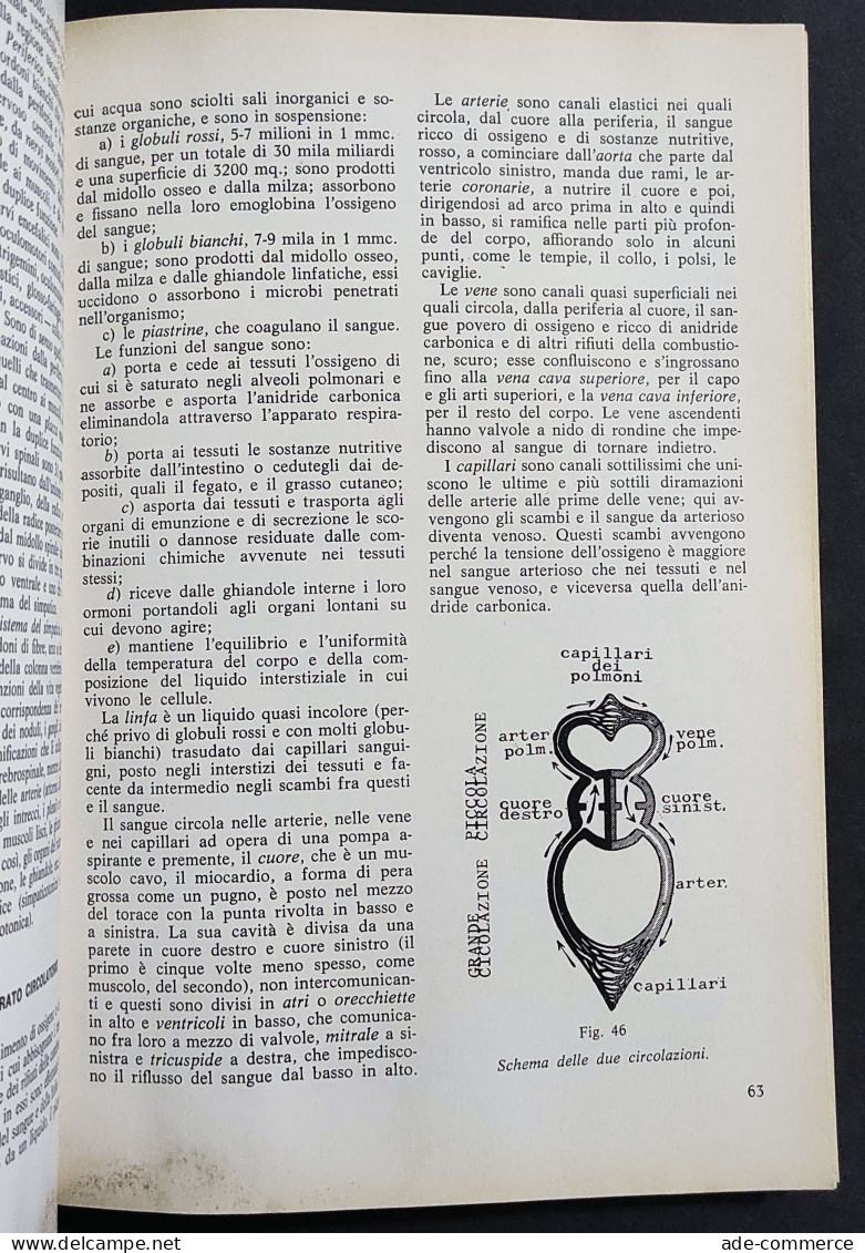 Ciclismo - Prendi La Bicicletta E Vai - G. Ambrosini - Ed. Sperling & Kupfer - 1977 - Deportes