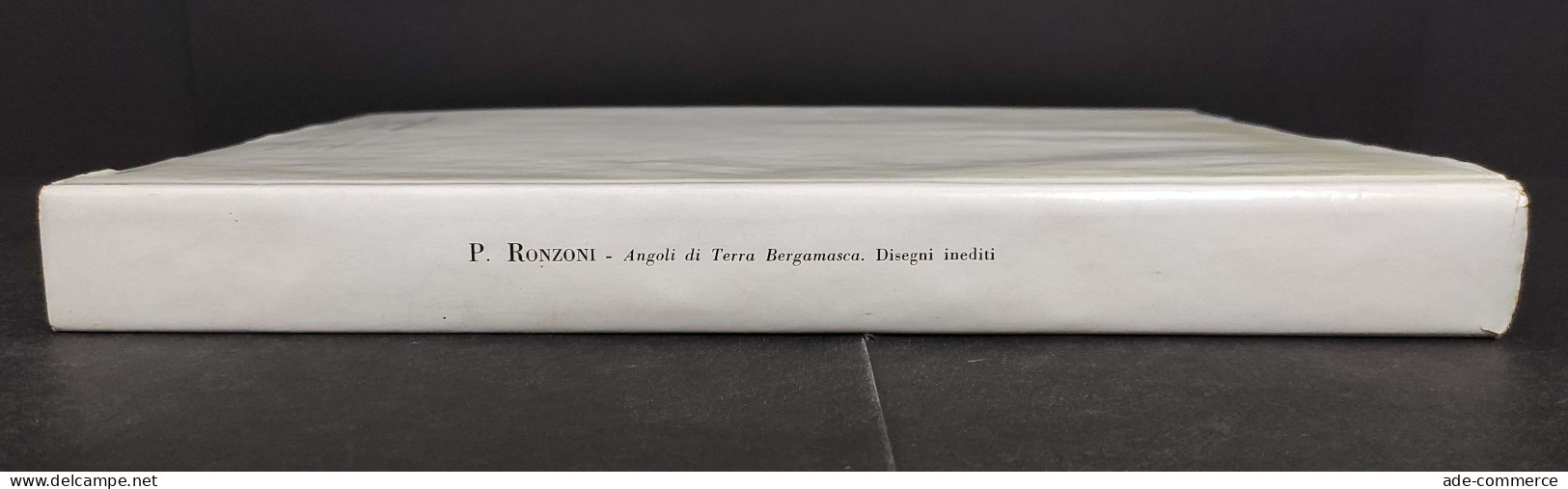 Disegni Inediti Del Paesista P. Ronzoni III Parte - Angoli Terra Bergamasca -1965 - Kunst, Antiek