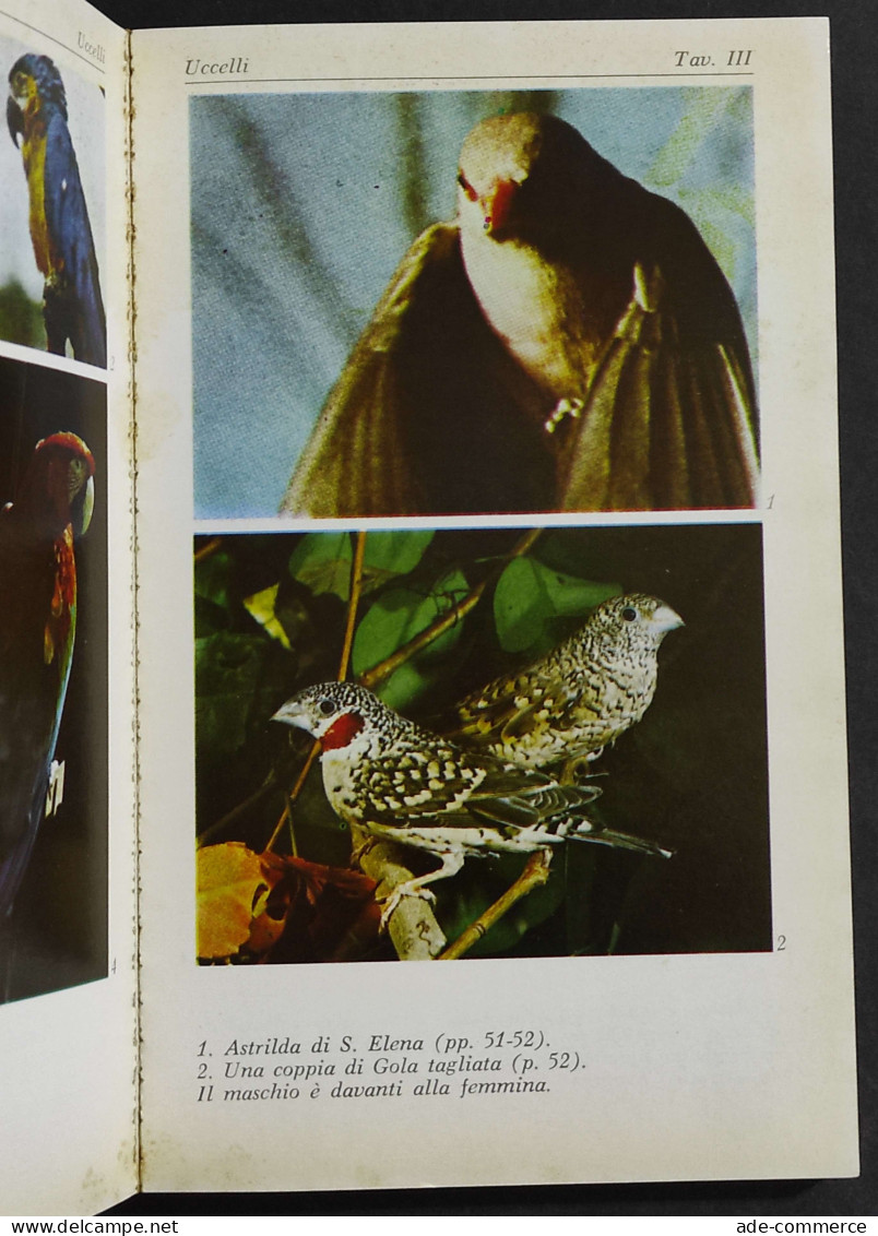 Uccelli Da Gabbia Da Cortile E Da Voliera - A. Lombardi - Ed. Sansoni - 1974 - Tiere