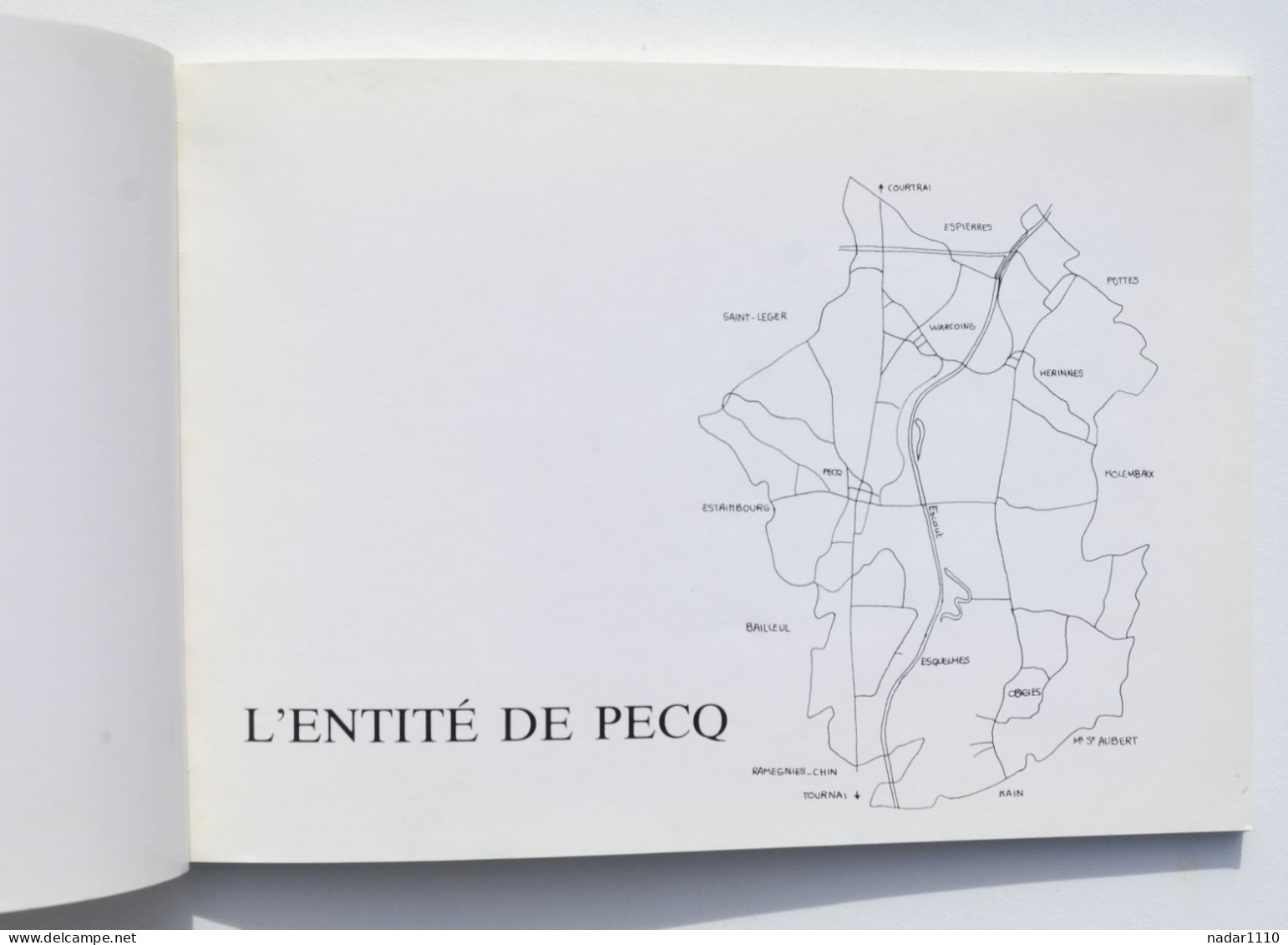 L'entité De Pecq En Cartes Postales Anciennes - Warcoing, Hérinnes, Obigies, Esquelmes. - Libri & Cataloghi