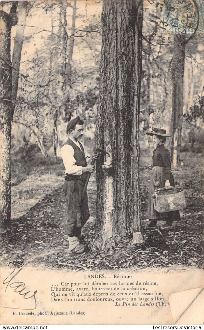 FOLKLORE - LANDES - Résinier - Car Pour Lui Dérober Ses Larmes De Résine L'homme Avare....- Carte Postale Ancienne - Autres & Non Classés