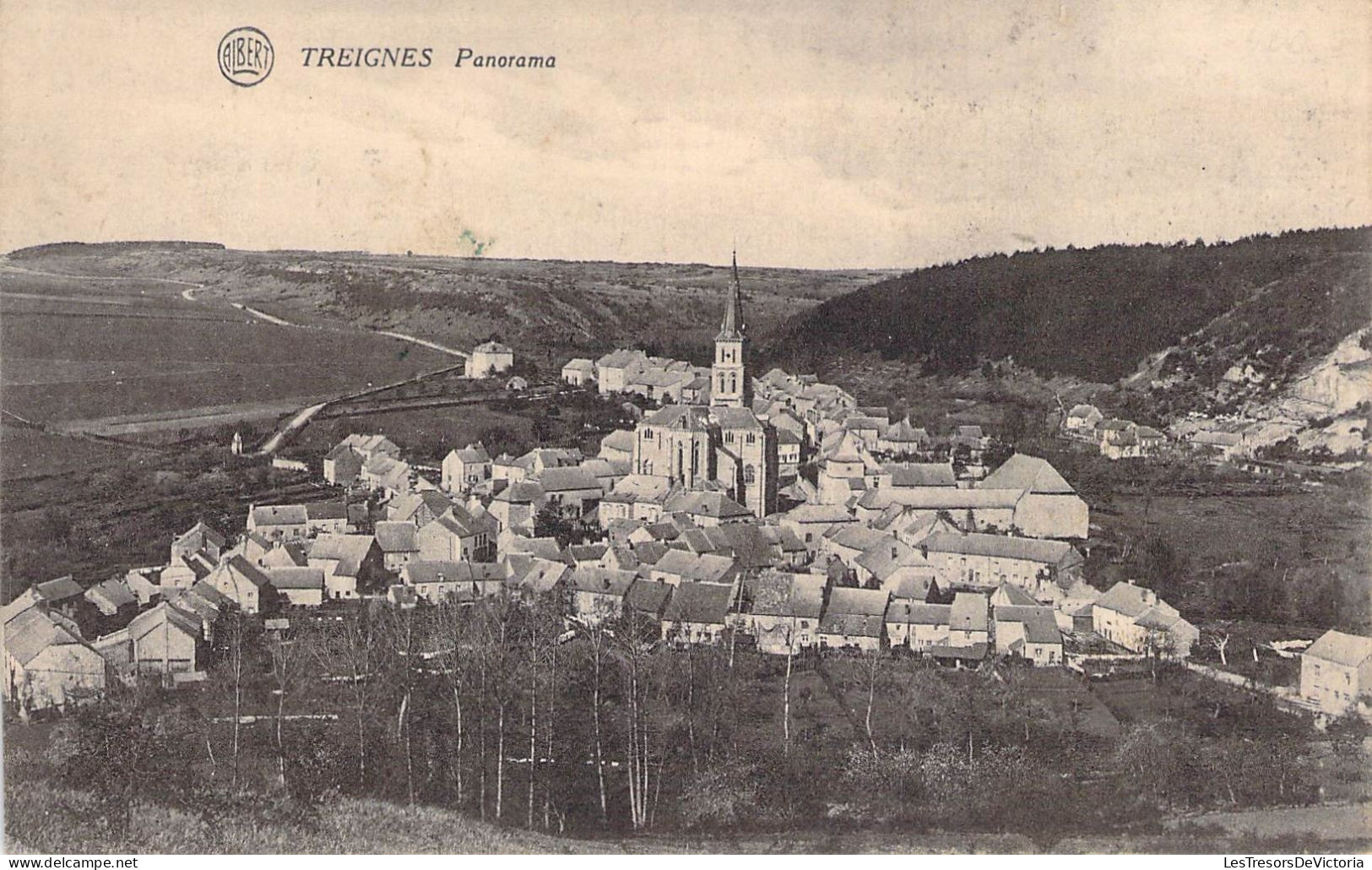 Belgique - Treignes - Panorama - Edit. Descamps Legrand - Albert - Carte Postale Ancienne - Philippeville