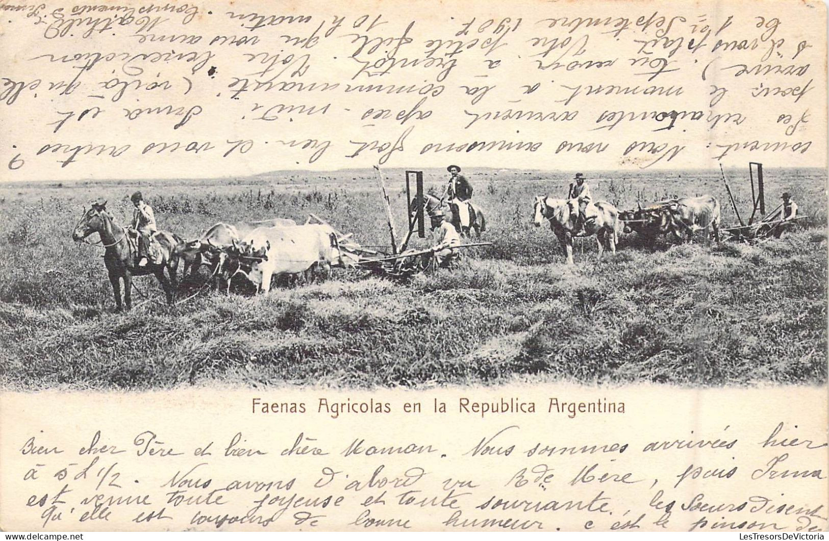 ARGENTINE - Faenas Agricolas En La Republica Argentina - Vaches - Cheval - Carte Postale Ancienne - Argentinië