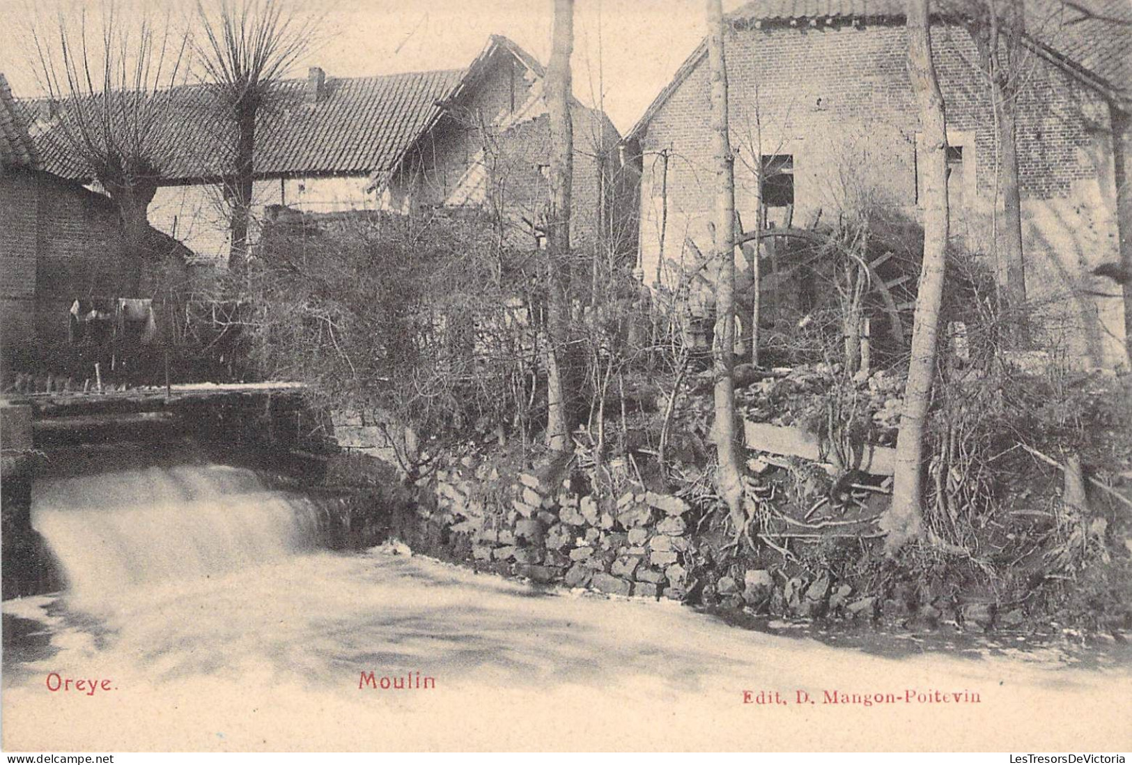 Belgique - Oreye - Moulin - Edit. D. Mangon Poitevin   - Carte Postale Ancienne - Borgworm