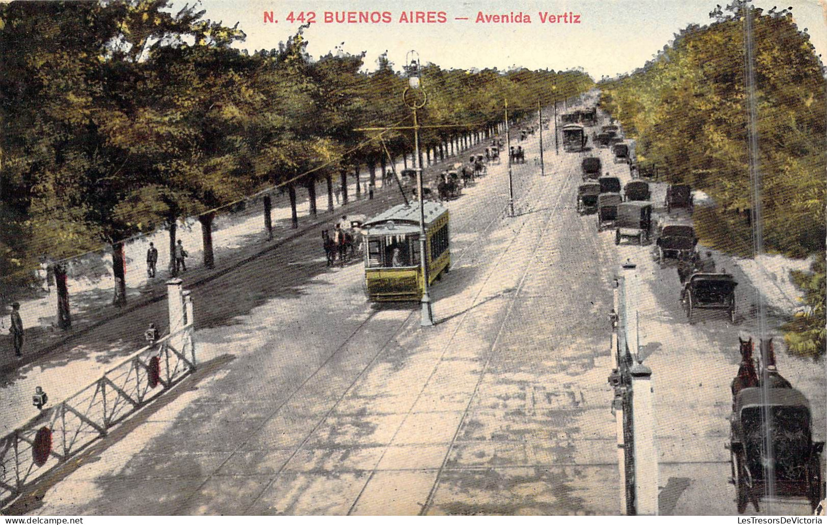 ARGENTINE - Buenos Aires - Avenida Vertiz - Tramway - Carrosse - Carte Postale Ancienne - Argentine