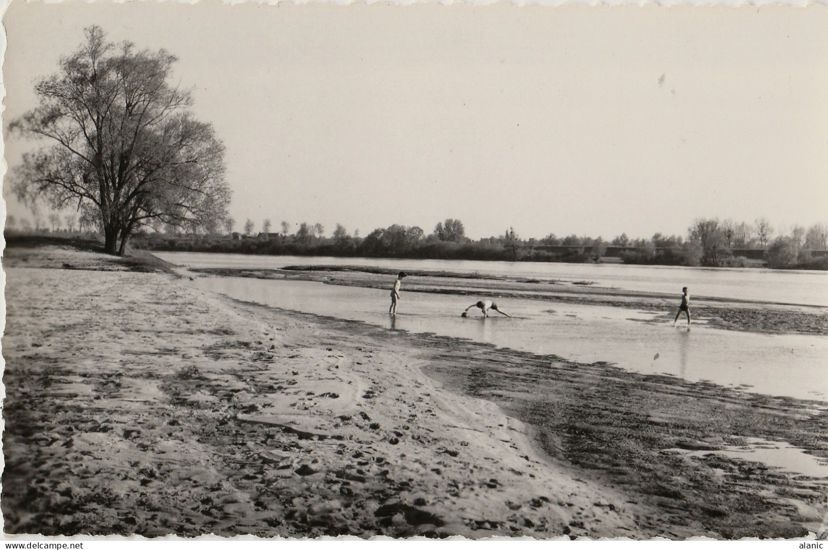 CSM-45-LOIRET-OUZOUER SUR LOIRE  LA PLAGE Non Circulée - Ouzouer Sur Loire