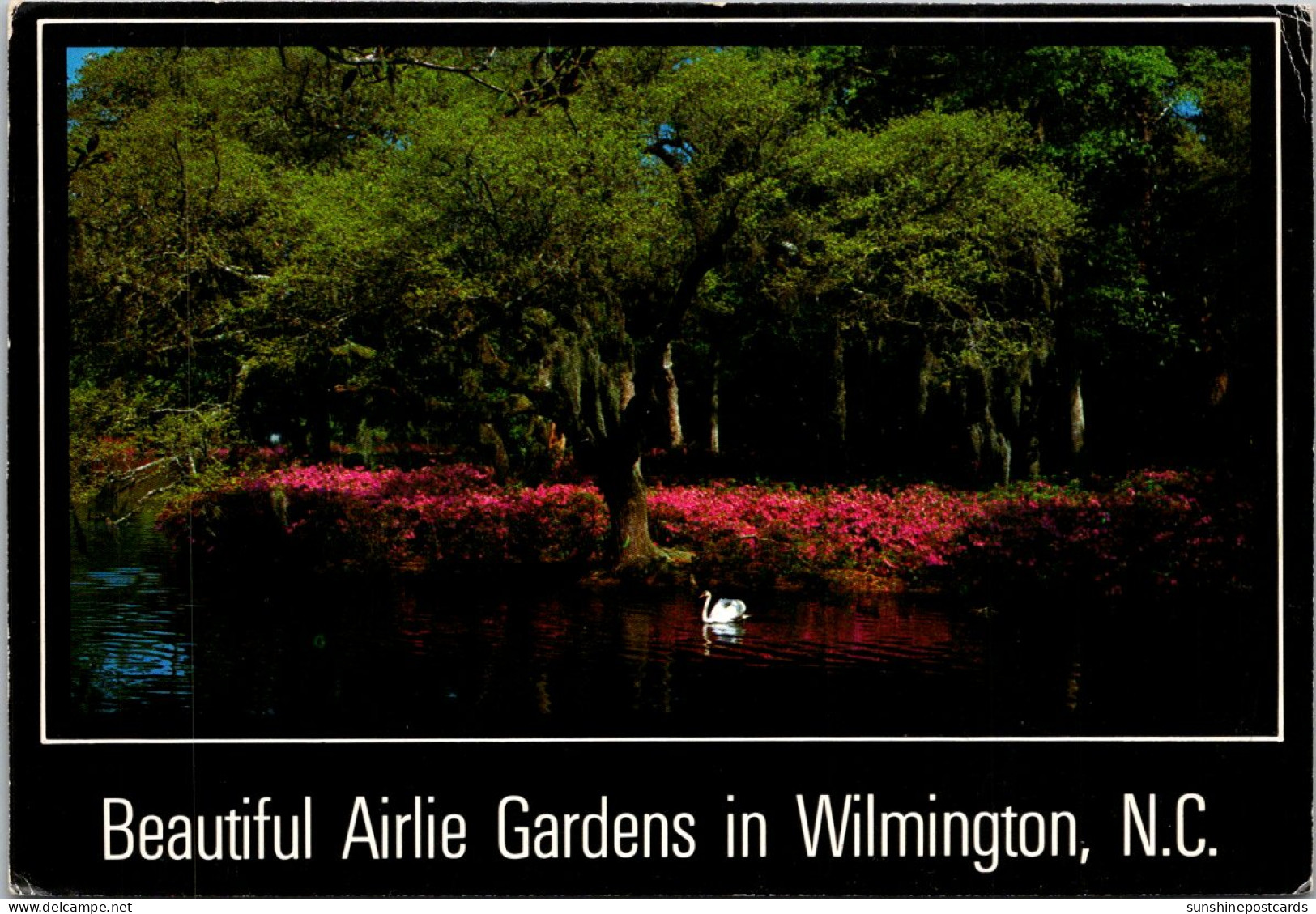 North Carolina Wilmington Beautiful Airlie Gardens - Wilmington