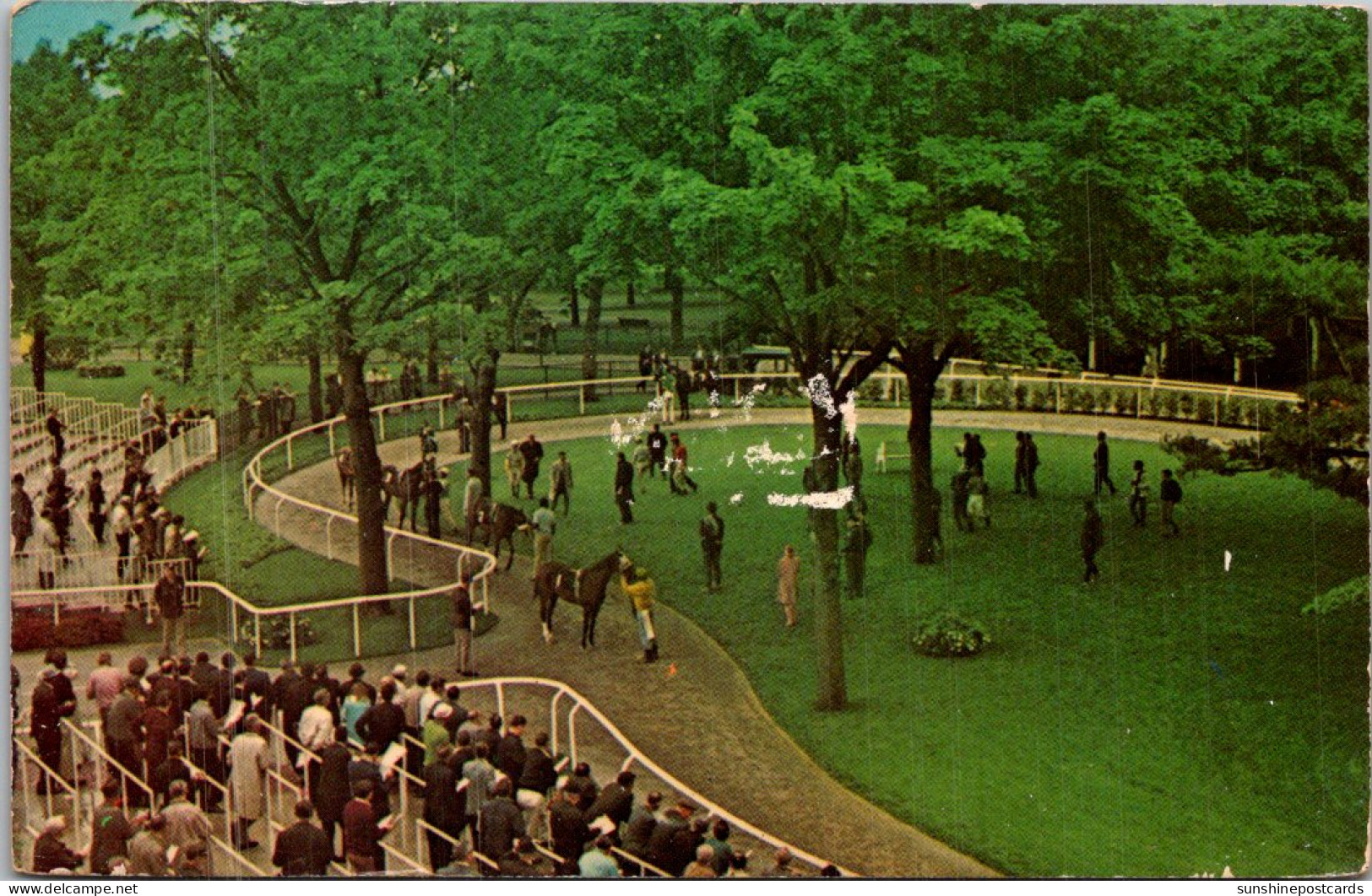 New York Long Island Belmont Park Walking Ring - Long Island