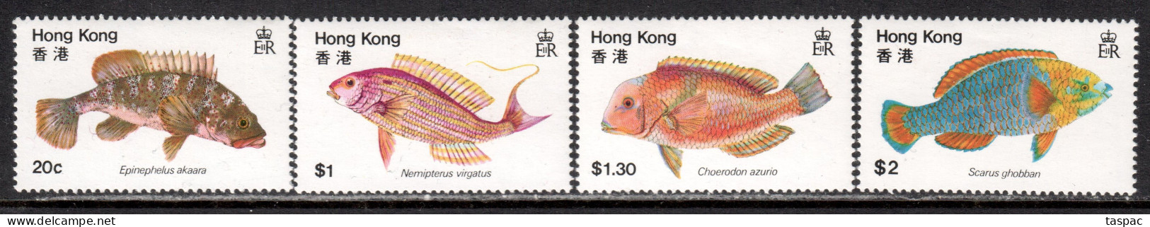 Hong Kong 1981 Mi# 368-371 ** MNH - Fish - Nuevos