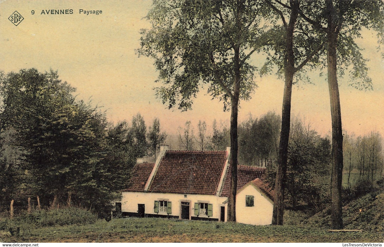 Belgique - Avennes - Paysage - Edit. St An. Belge De Phototypie - Colorisé - Carte Postale Ancienne - Borgworm