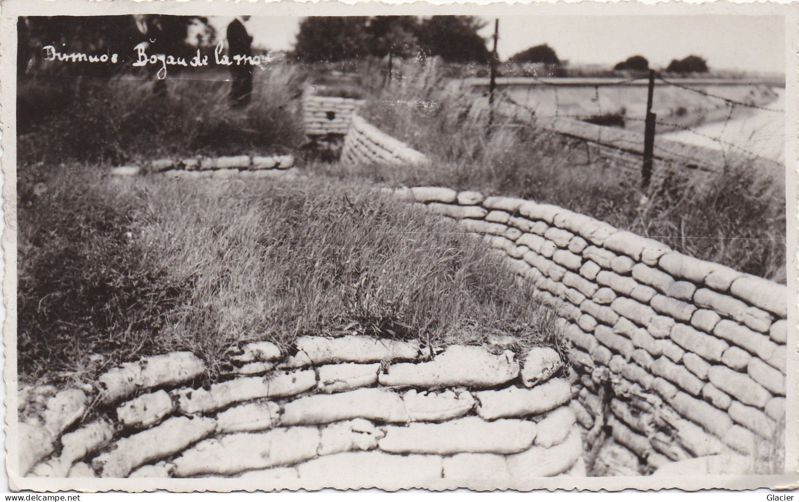 Dixmude - Boyau De La Mort - Dodengang - Carte Photo - Uitg. Em. Goes 71 Zeedijk Oostende - Diksmuide