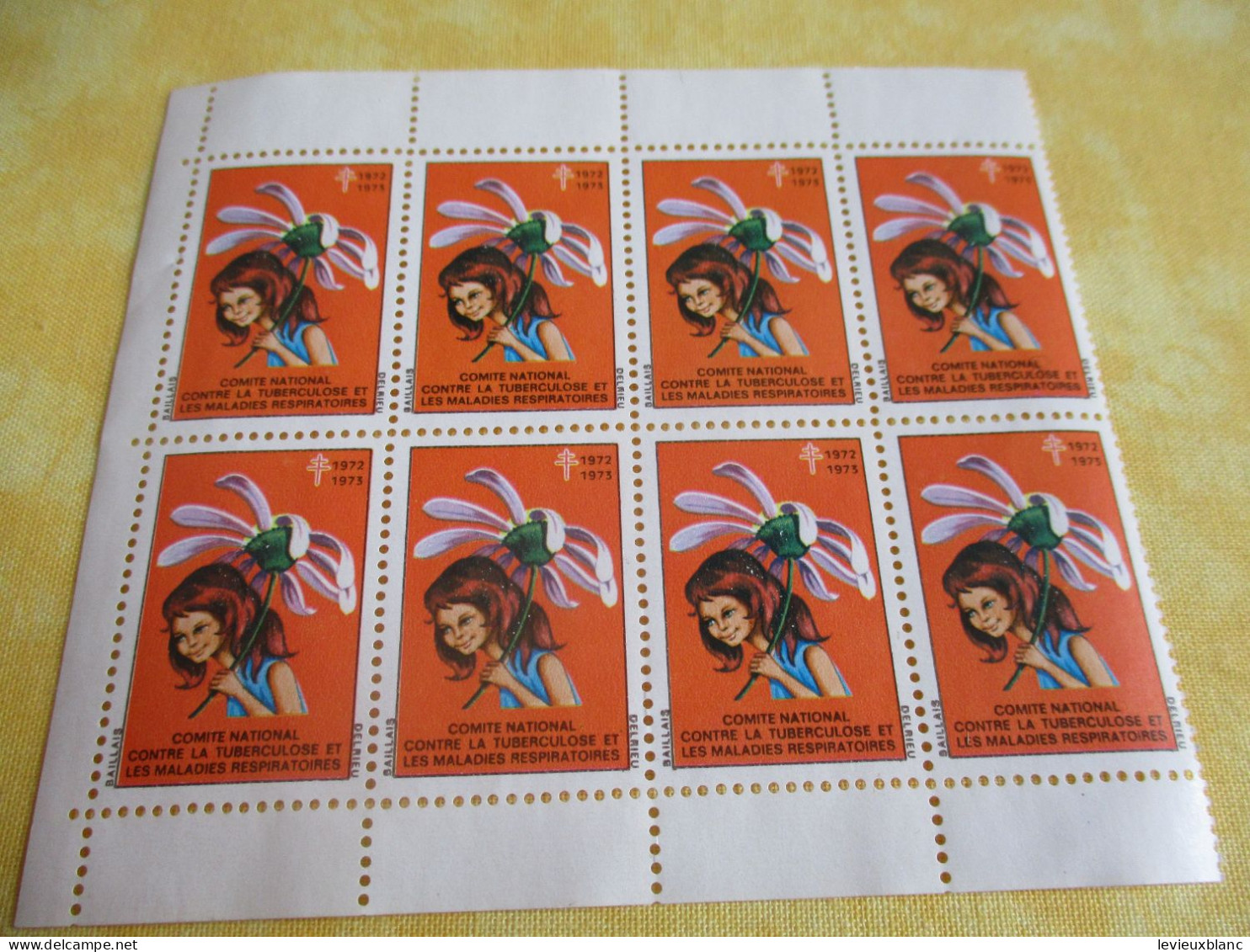 Plaquette De Timbres De Soutien/ Comité National Contre La Tuberculose/1972-1973 TIBANTI130 - WGO