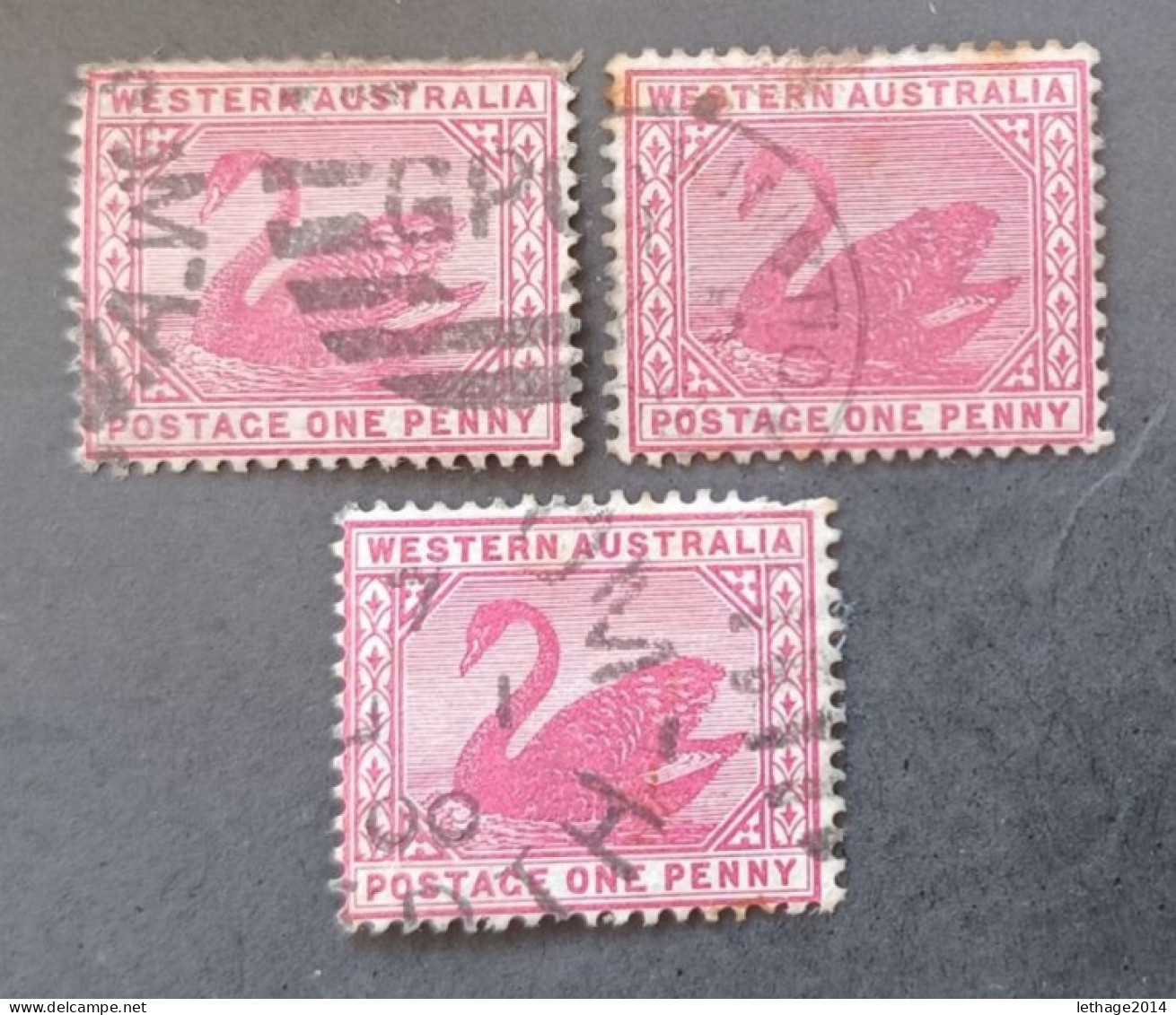 WESTERN AUSTRALIA 1899 SWAN CAT GIBBONS N 99 WMK 18 - Used Stamps