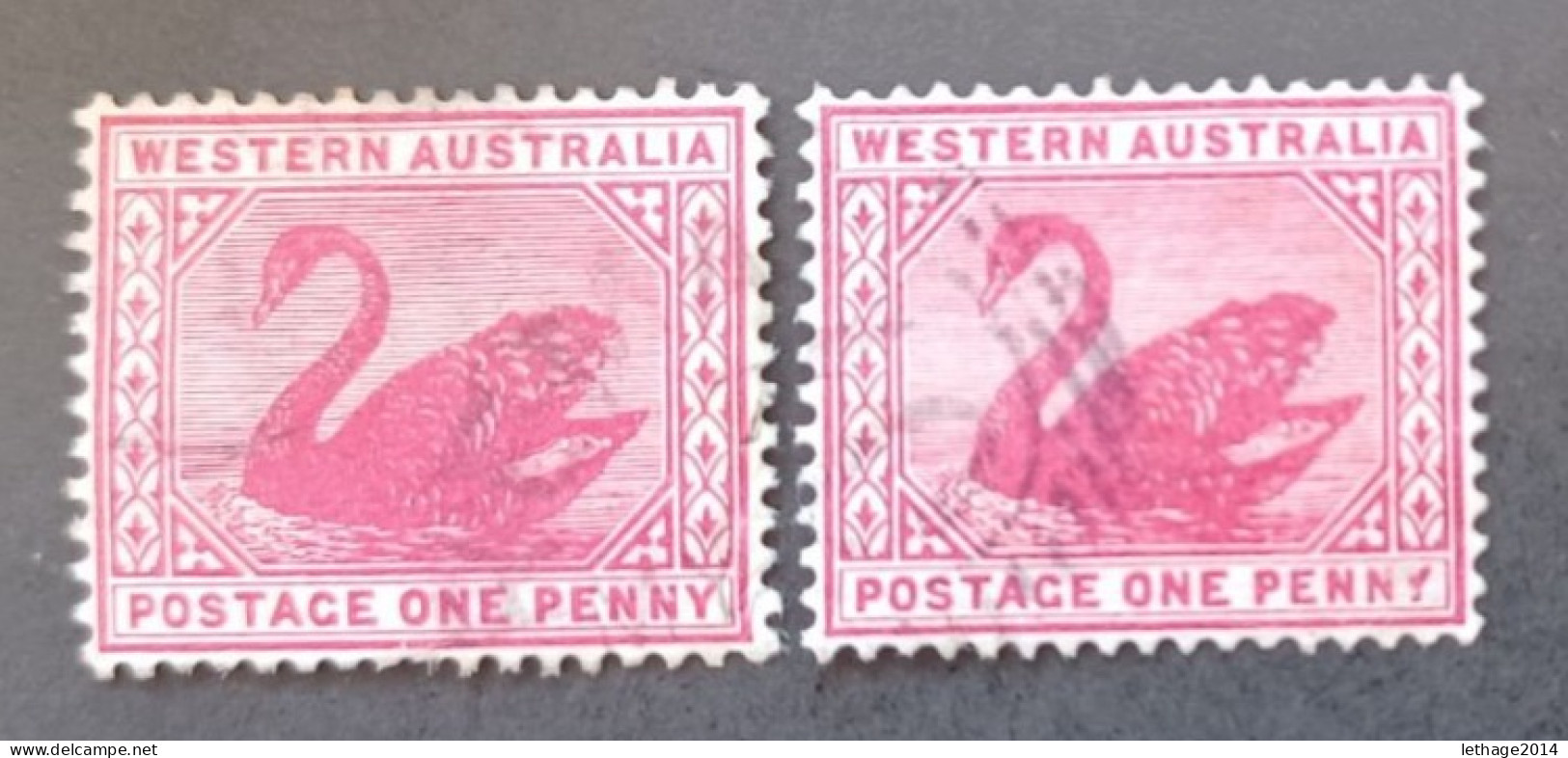 WESTERN AUSTRALIA 1888 SWAN CAT GIBBONS N 112 WMK CROWN CA - Oblitérés