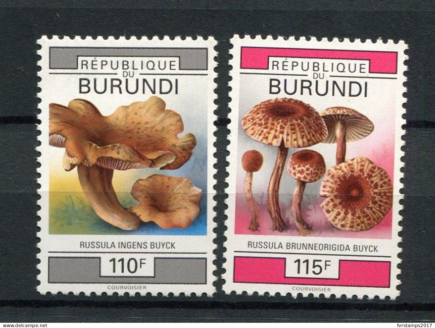 Burundi - 1993 - OCB 1027-1028 - MNH ** - Paddestoelen Champignons Fungi Mushrooms Flora  - Cv € 12,50 - Ongebruikt