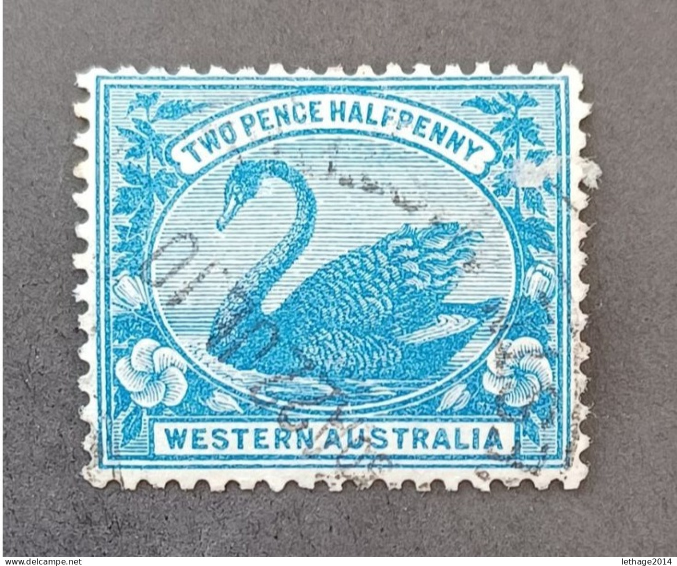 WESTERN AUSTRALIA 1899 SWAN CAT GIBBONS N 114 WMK 18 - Gebruikt