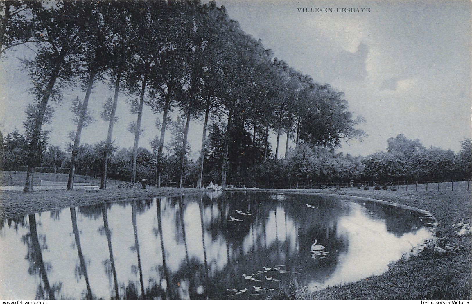 Belgique - Ville En Hesbaye -Vue D'un Point D'eau - Edit. A. Chantraine  - Carte Postale Ancienne - Waremme