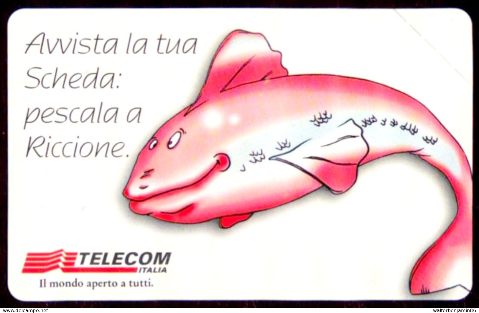 G 1046 C&C 3145 SCHEDA TELEFONICA NUOVA RICCIONE 99 PESCE 2^A QUALITA' OCR - Erreurs & Variétés