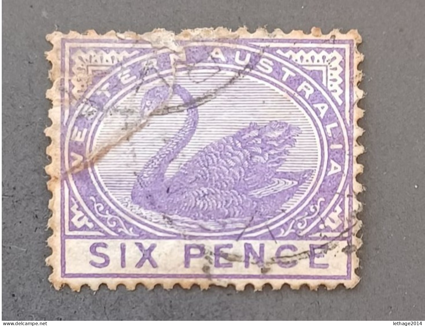WESTERN AUSTRALIA 1885 SWAN CAT GIBBONS N 104 WMK CROWN CA - Usati