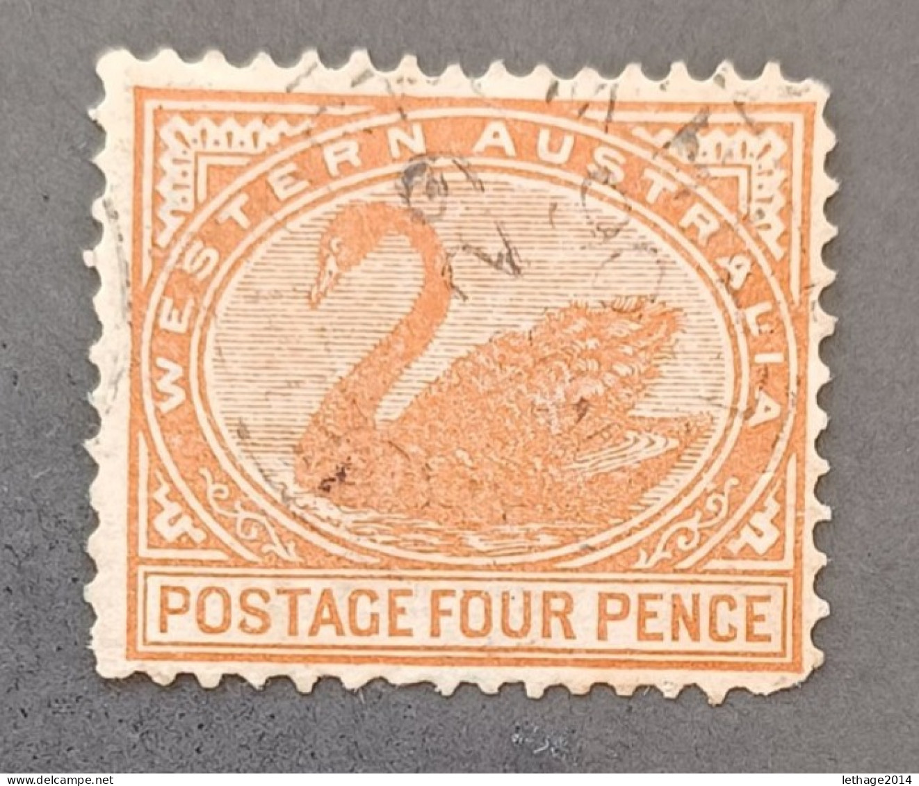 WESTERN AUSTRALIA 1885 SWAN CAT GIBBONS N 102 WMK CROWN CA - Usados
