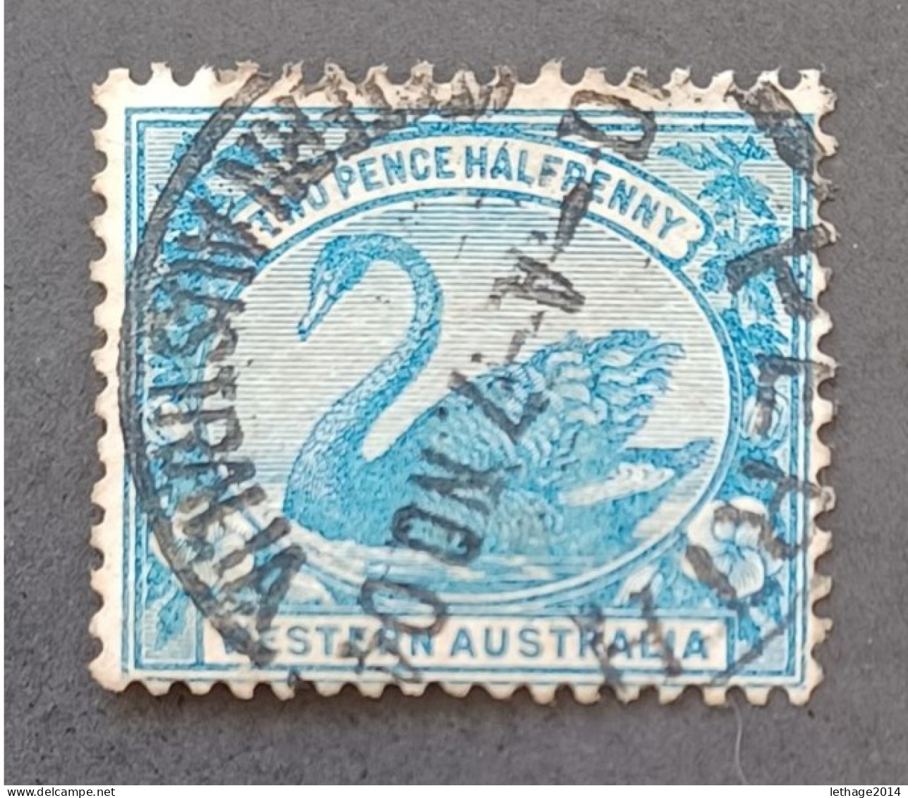 WESTERN AUSTRALIA 1899 SWAN CAT GIBBONS N 114 WMK 18 - Used Stamps