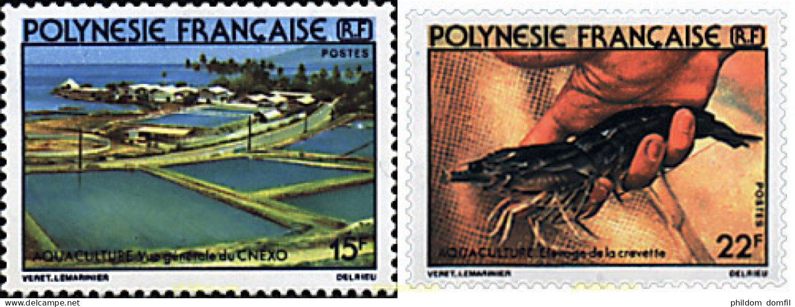 43598 MNH POLINESIA FRANCESA 1980 ACUICULTURA - Usati