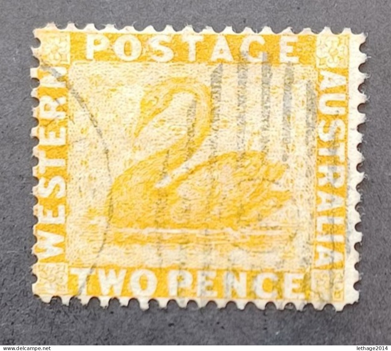 WESTERN AUSTRALIA 1882 SWAN CAT GIBBONS N 82 WMK CROWN CA PERF 14 - Used Stamps