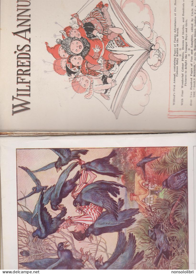 LIBRO :  WILFRED'S  ANNUAL  1924 .   THE  FAMOUS  RABBIT .  208  PAGINE . - Jaarboeken