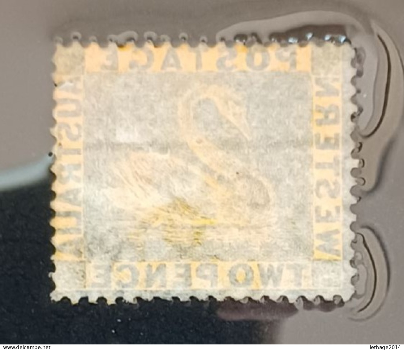 WESTERN AUSTRALIA 1872 SWAN CAT GIBBONS N 70 WMK CROWN CC PERF 14 - Used Stamps