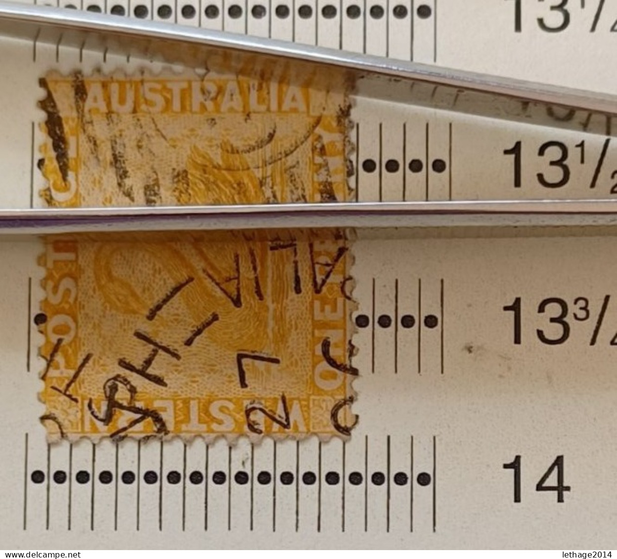 WESTERN AUSTRALIA 1882 SWAN CAT GIBBONS N 76 WMK CROWN CA PERF 14 - Used Stamps