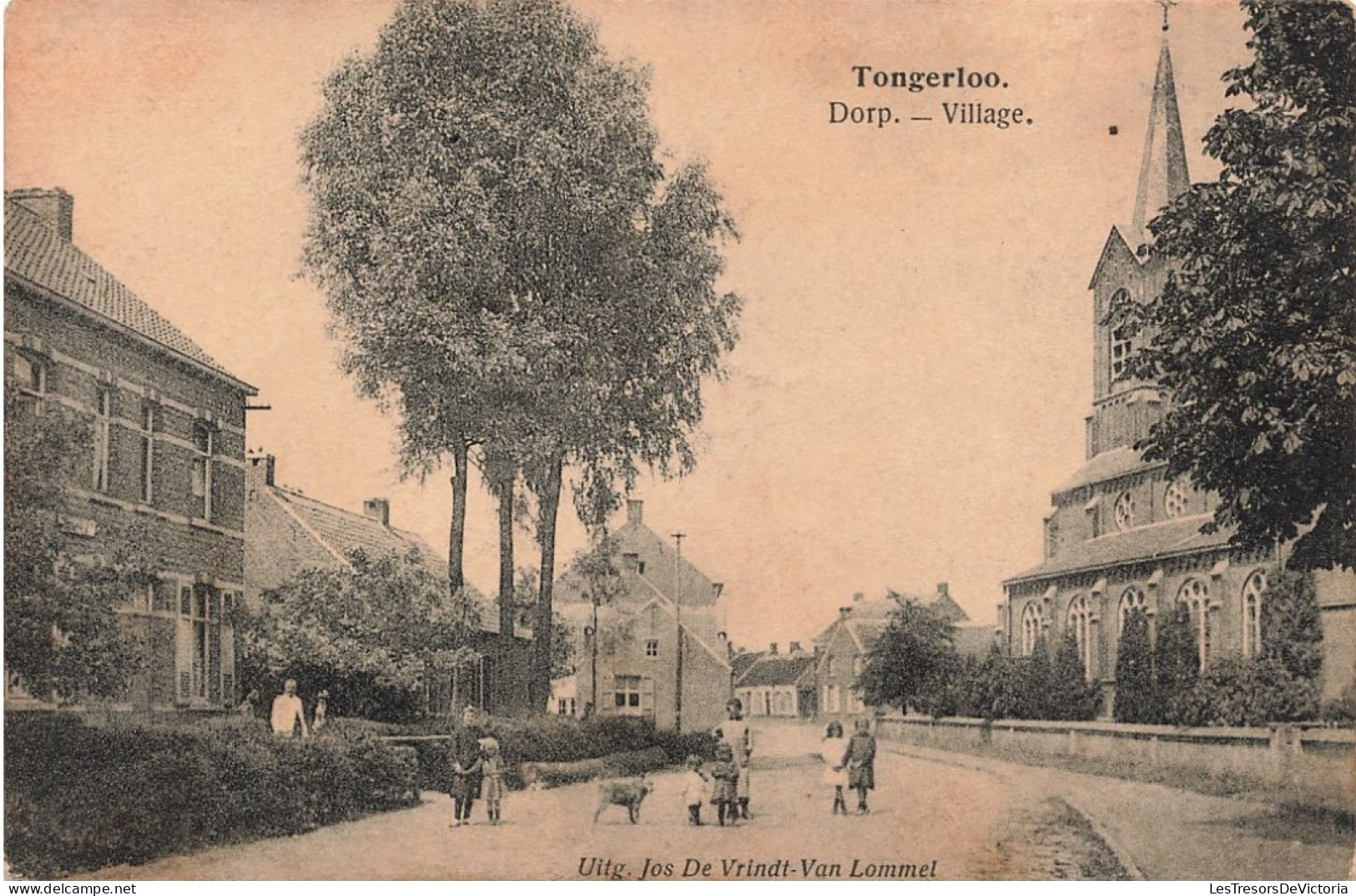 Belgique - Tongerloo - Dorp - Village - Uit. Jos De Vrindt - Animé - Clocher -  - Carte Postale Ancienne - Westerlo