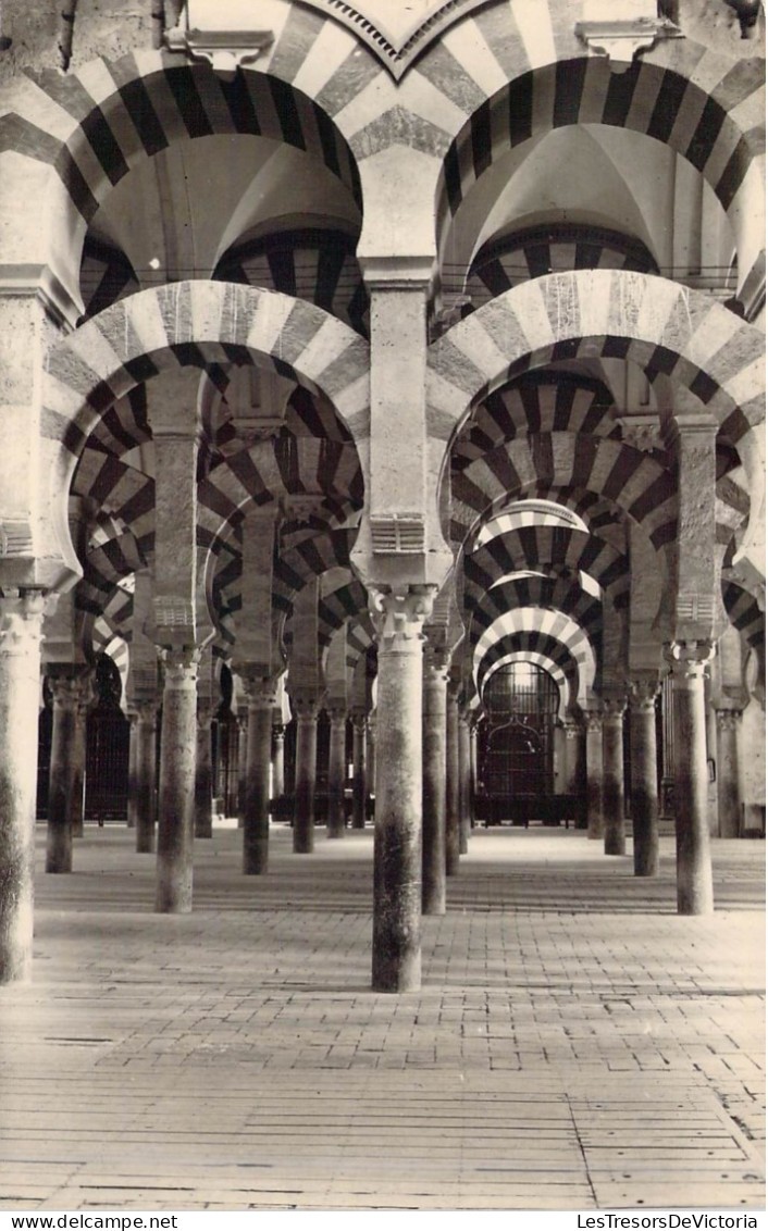 ARGENTINE - Cordoba - Laberinto De Columnas En La Mezquita - Carte Postale Ancienne - Argentina