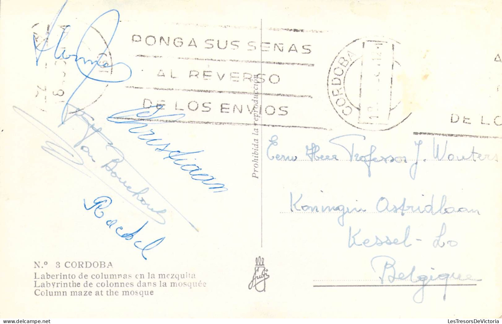 ARGENTINE - Cordoba - Laberinto De Columnas En La Mezquita - Carte Postale Ancienne - Argentina