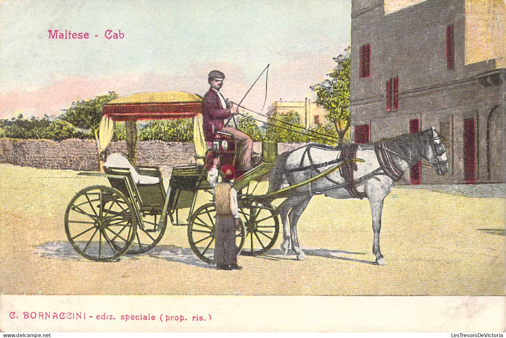 MALTE - Maltese - Cab - C. Bornaccini - Carrosse - Carte Postale Ancienne - Malte