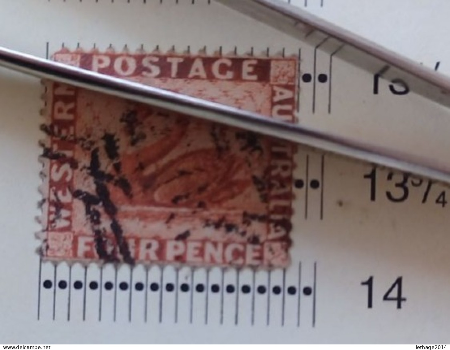 WESTERN AUSTRALIA 1882 SWAN CAT GIBBONS N 78 WMK CROWN CA PERF 14 - Used Stamps