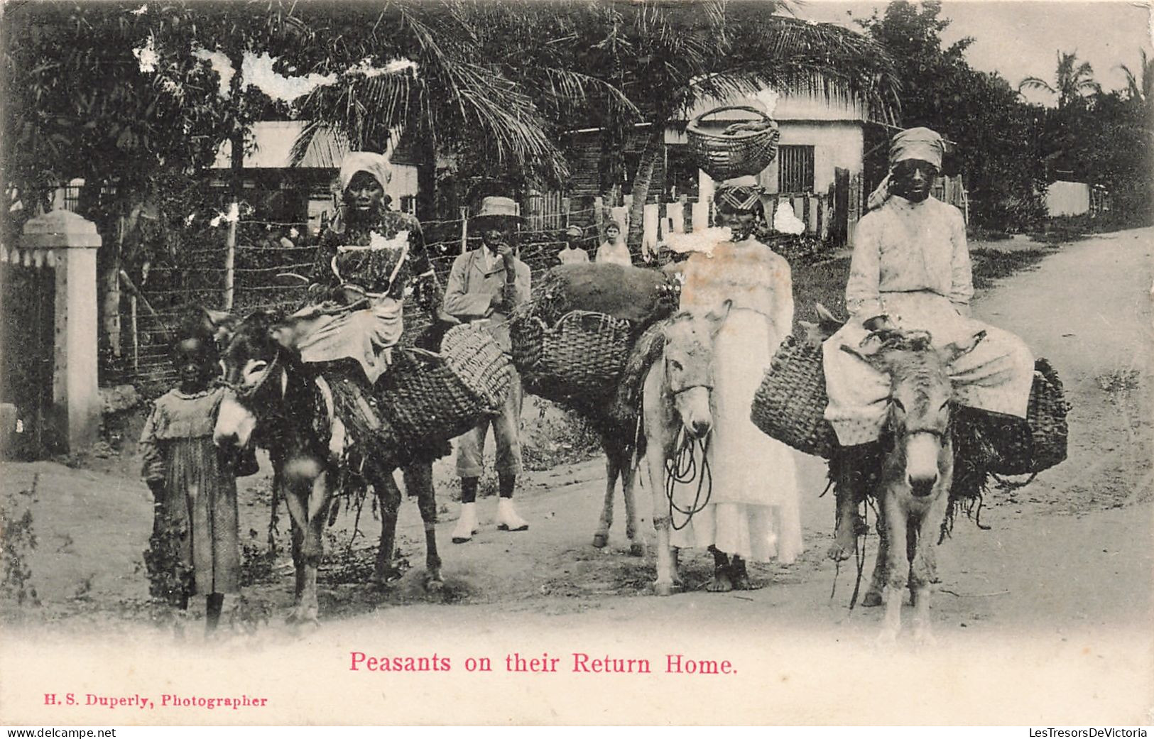 Antilles - Peasants On Their Return Home - H.S. Duperly - Photographer - Animé - Ane - Carte Postale Ancienne - Autres & Non Classés
