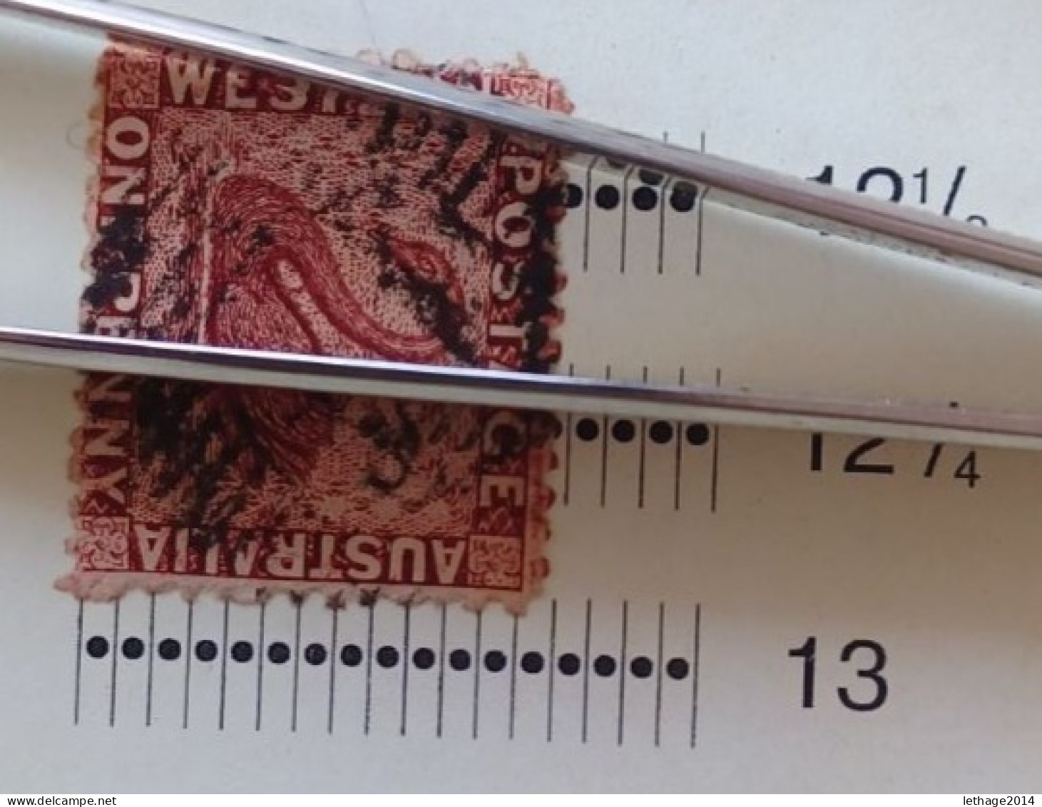 WESTERN AUSTRALIA 1888 SWAN CAT GIBBONS N 95 WMK CROWN CA ERROR PERF 13 NOT PERF 14 - Used Stamps