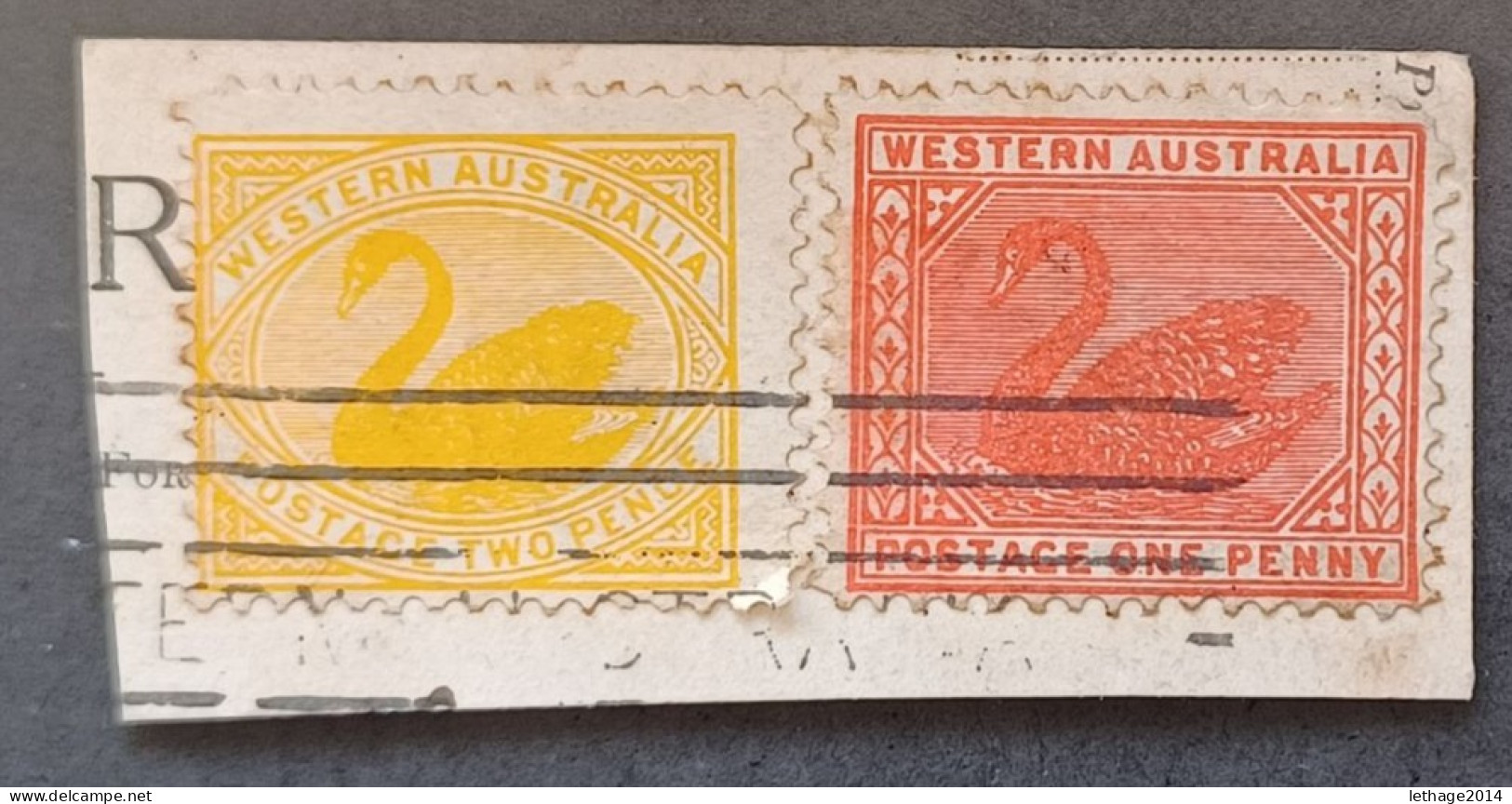 WESTERN AUSTRALIA 1902 SWAN CAT GIBBONS N 115-116 FRAGMANT - Oblitérés