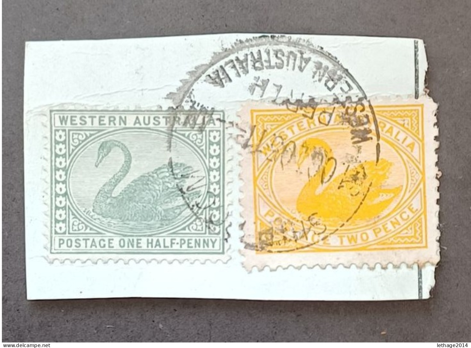 WESTERN AUSTRALIA 1885 SWAN CAT GIBBONS N 98-116 FRAGMANT - Used Stamps